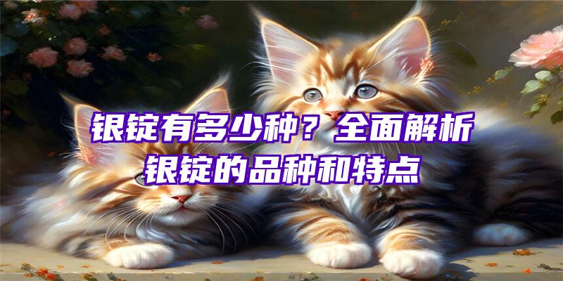 银锭有多少种？全面解析银锭的品种和特点