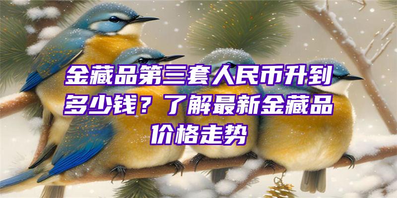 金藏品第三套人民币升到多少钱？了解最新金藏品价格走势