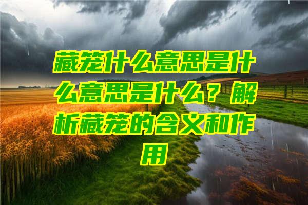 藏笼什么意思是什么意思是什么？解析藏笼的含义和作用