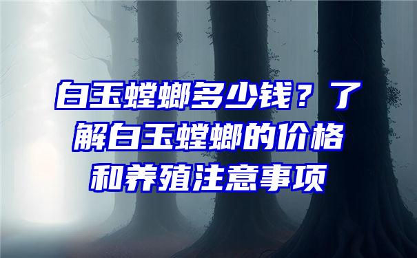 白玉螳螂多少钱？了解白玉螳螂的价格和养殖注意事项