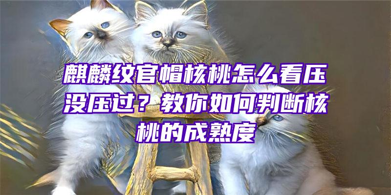 麒麟纹官帽核桃怎么看压没压过？教你如何判断核桃的成熟度