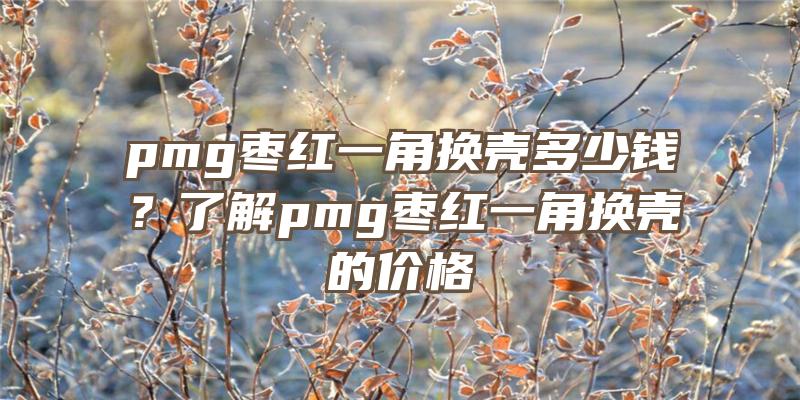 pmg枣红一角换壳多少钱？了解pmg枣红一角换壳的价格