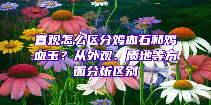 直观怎么区分鸡血石和鸡血玉？从外观、质地等方面分析区别