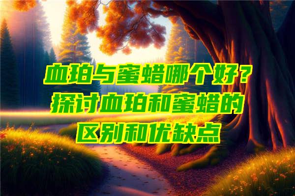 血珀与蜜蜡哪个好？探讨血珀和蜜蜡的区别和优缺点