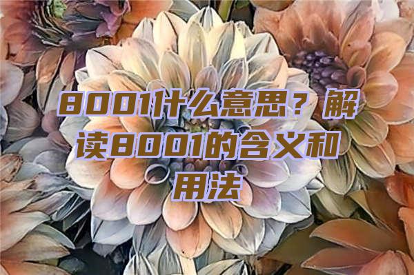 8001什么意思？解读8001的含义和用法