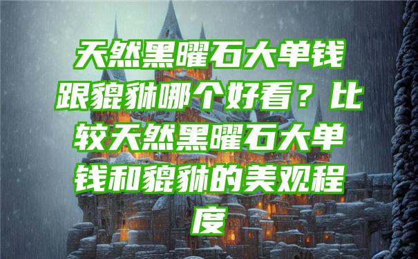 天然黑曜石大单钱跟貔貅哪个好看？比较天然黑曜石大单钱和貔貅的美观程度