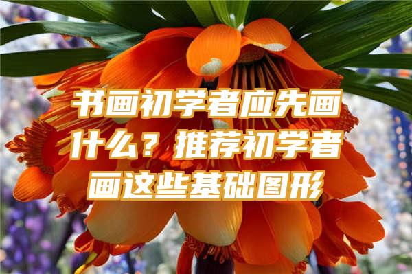 书画初学者应先画什么？推荐初学者画这些基础图形