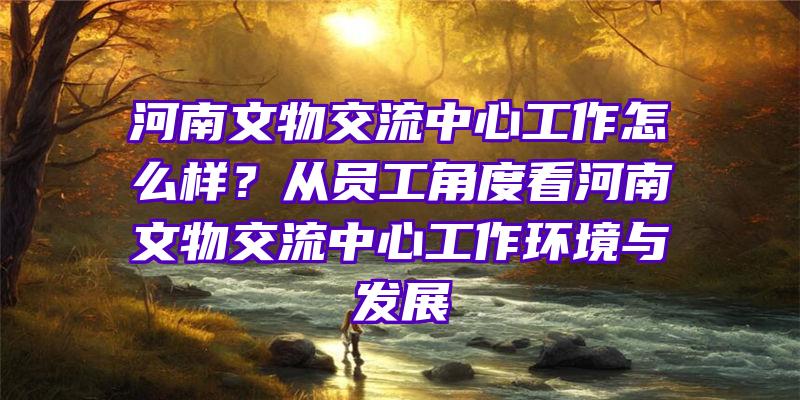 河南文物交流中心工作怎么样？从员工角度看河南文物交流中心工作环境与发展