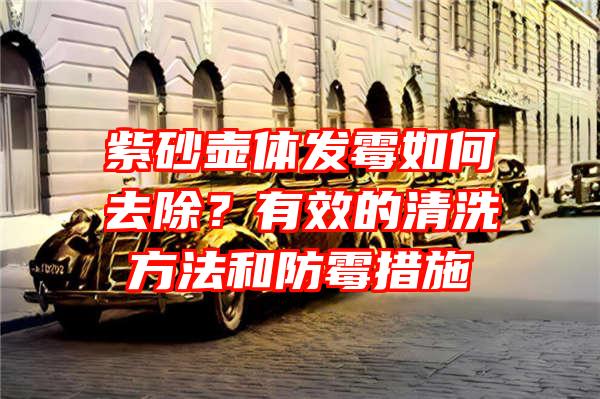 紫砂壶体发霉如何去除？有效的清洗方法和防霉措施