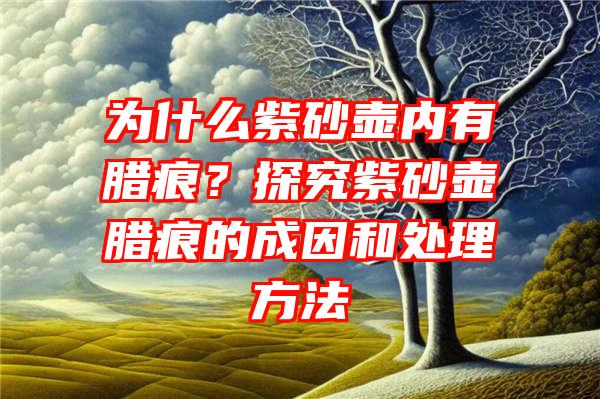 为什么紫砂壶内有腊痕？探究紫砂壶腊痕的成因和处理方法