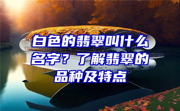 白色的翡翠叫什么名字？了解翡翠的品种及特点