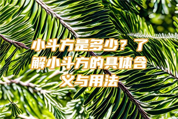 小斗方是多少？了解小斗方的具体含义与用法