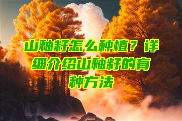 山釉籽怎么种植？详细介绍山釉籽的育种方法