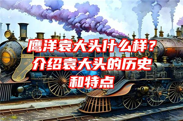 鹰洋袁大头什么样？介绍袁大头的历史和特点