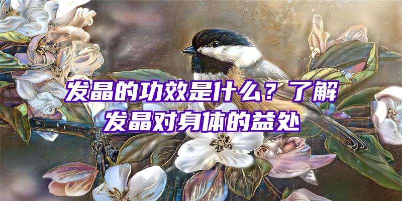 发晶的功效是什么？了解发晶对身体的益处