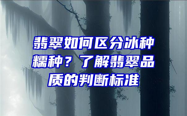 翡翠如何区分冰种糯种？了解翡翠品质的判断标准