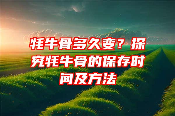 牦牛骨多久变？探究牦牛骨的保存时间及方法