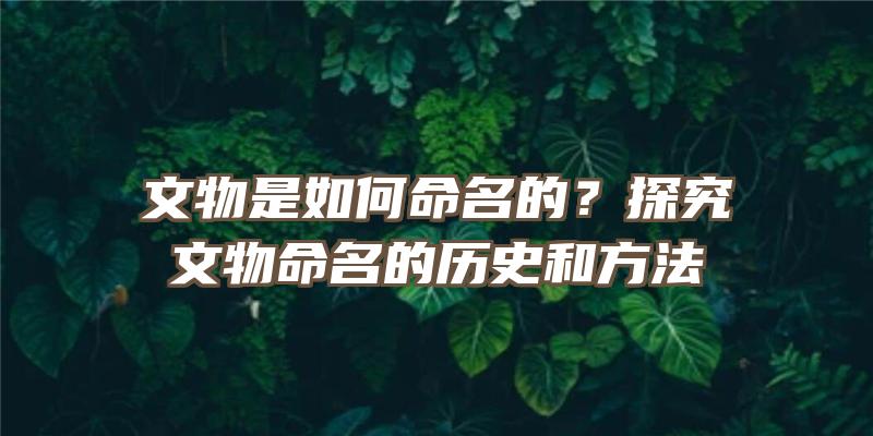 文物是如何命名的？探究文物命名的历史和方法