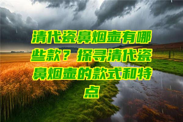 清代瓷鼻烟壶有哪些款？探寻清代瓷鼻烟壶的款式和特点