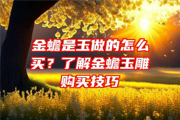 金蟾是玉做的怎么买？了解金蟾玉雕购买技巧