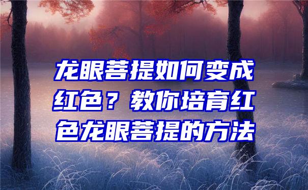 龙眼菩提如何变成红色？教你培育红色龙眼菩提的方法