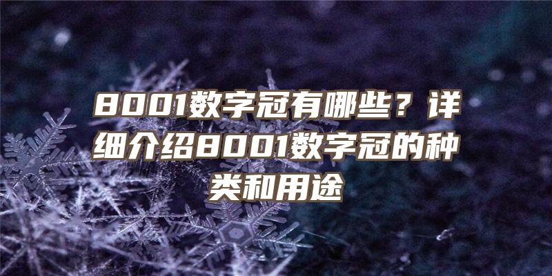 8001数字冠有哪些？详细介绍8001数字冠的种类和用途