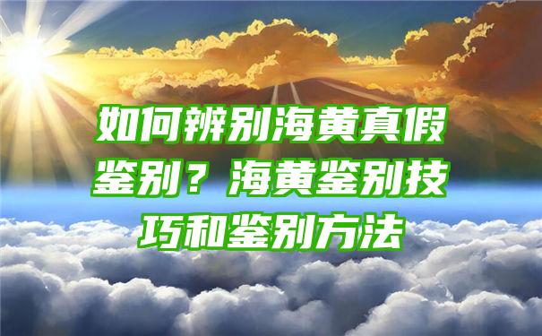 如何辨别海黄真假鉴别？海黄鉴别技巧和鉴别方法