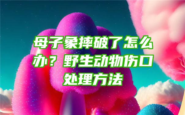 母子象摔破了怎么办？野生动物伤口处理方法