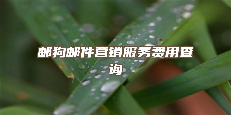 邮狗邮件营销服务费用查询