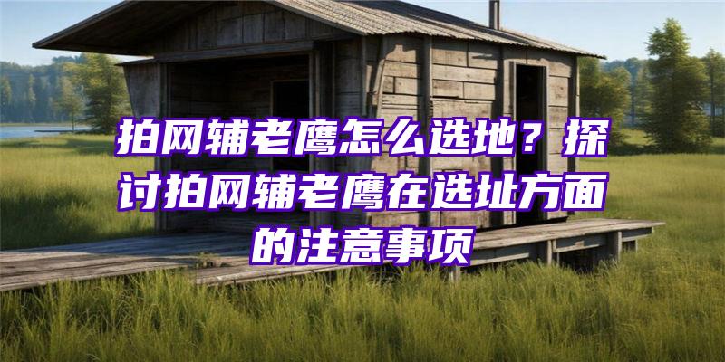 拍网辅老鹰怎么选地？探讨拍网辅老鹰在选址方面的注意事项