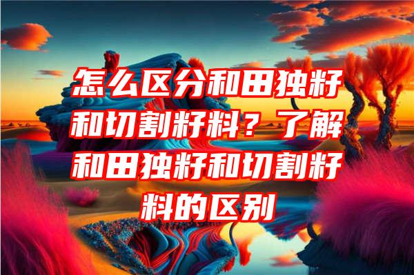 怎么区分和田独籽和切割籽料？了解和田独籽和切割籽料的区别