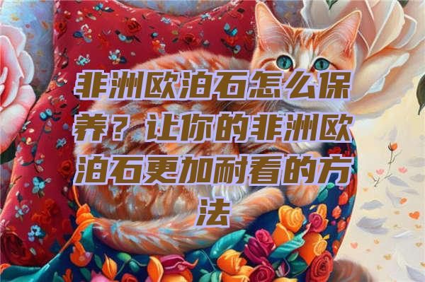 非洲欧泊石怎么保养？让你的非洲欧泊石更加耐看的方法