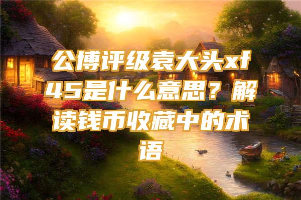 公博评级袁大头xf45是什么意思？解读钱币收藏中的术语