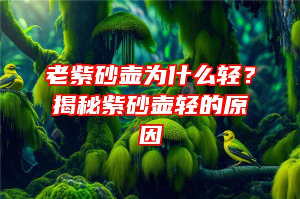 老紫砂壶为什么轻？揭秘紫砂壶轻的原因