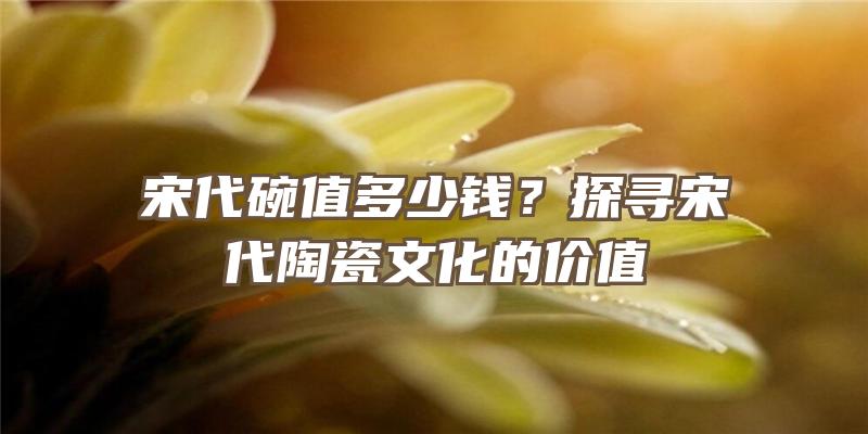 宋代碗值多少钱？探寻宋代陶瓷文化的价值