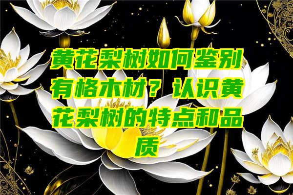 黄花梨树如何鉴别有格木材？认识黄花梨树的特点和品质