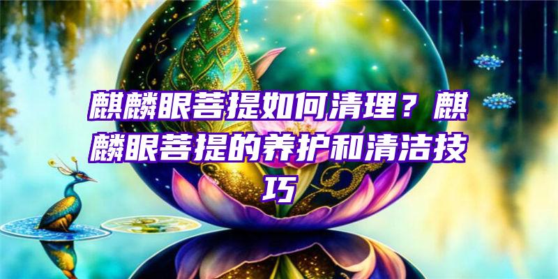 麒麟眼菩提如何清理？麒麟眼菩提的养护和清洁技巧