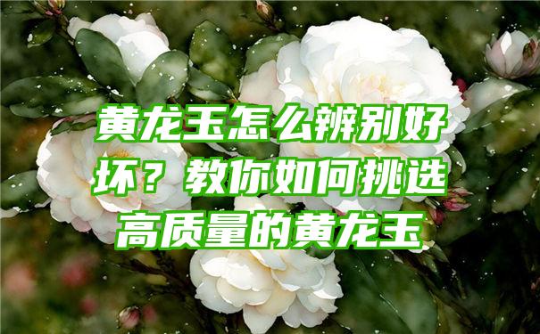 黄龙玉怎么辨别好坏？教你如何挑选高质量的黄龙玉