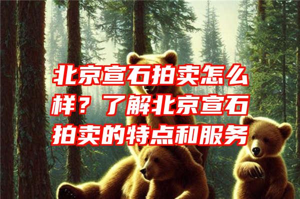 北京宣石拍卖怎么样？了解北京宣石拍卖的特点和服务