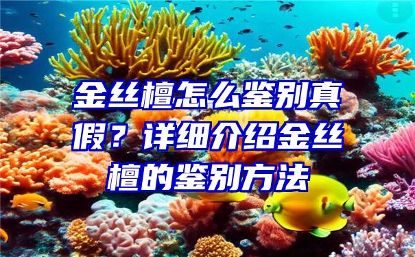 金丝檀怎么鉴别真假？详细介绍金丝檀的鉴别方法