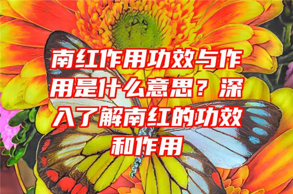 南红作用功效与作用是什么意思？深入了解南红的功效和作用