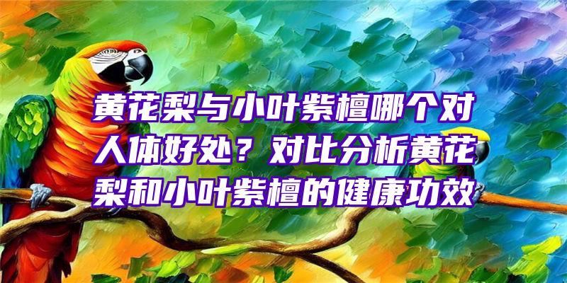 黄花梨与小叶紫檀哪个对人体好处？对比分析黄花梨和小叶紫檀的健康功效