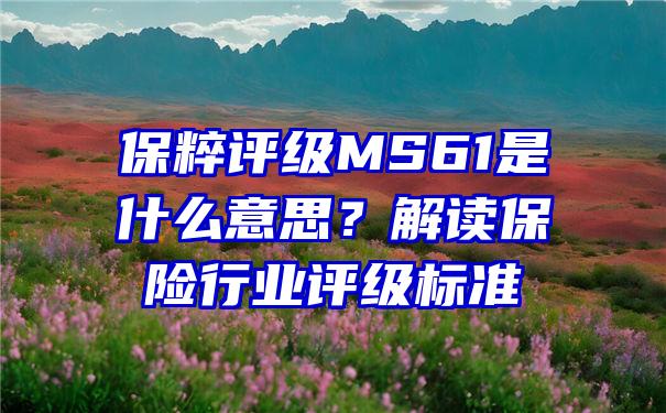 保粹评级MS61是什么意思？解读保险行业评级标准