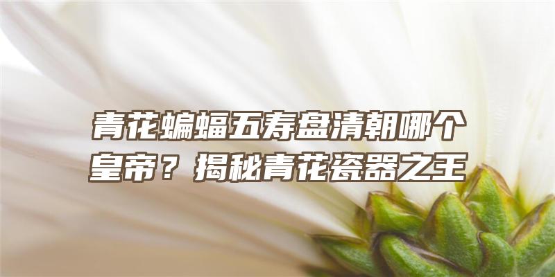 青花蝙蝠五寿盘清朝哪个皇帝？揭秘青花瓷器之王