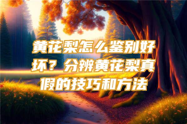 黄花梨怎么鉴别好坏？分辨黄花梨真假的技巧和方法