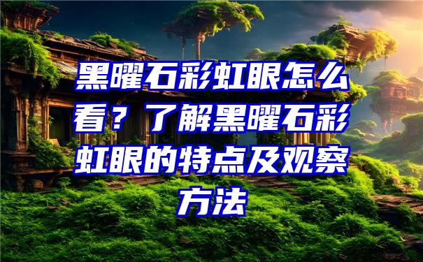 黑曜石彩虹眼怎么看？了解黑曜石彩虹眼的特点及观察方法