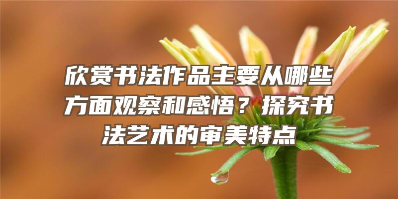 欣赏书法作品主要从哪些方面观察和感悟？探究书法艺术的审美特点