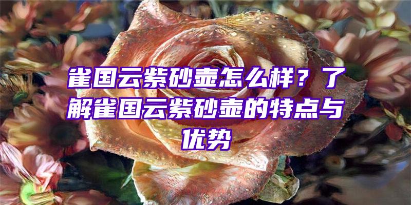 雀国云紫砂壶怎么样？了解雀国云紫砂壶的特点与优势