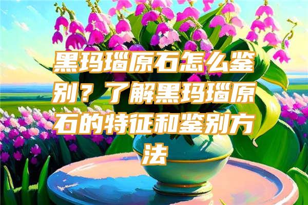 黑玛瑙原石怎么鉴别？了解黑玛瑙原石的特征和鉴别方法