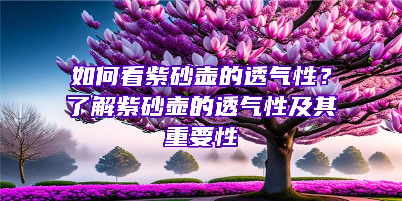 如何看紫砂壶的透气性？了解紫砂壶的透气性及其重要性